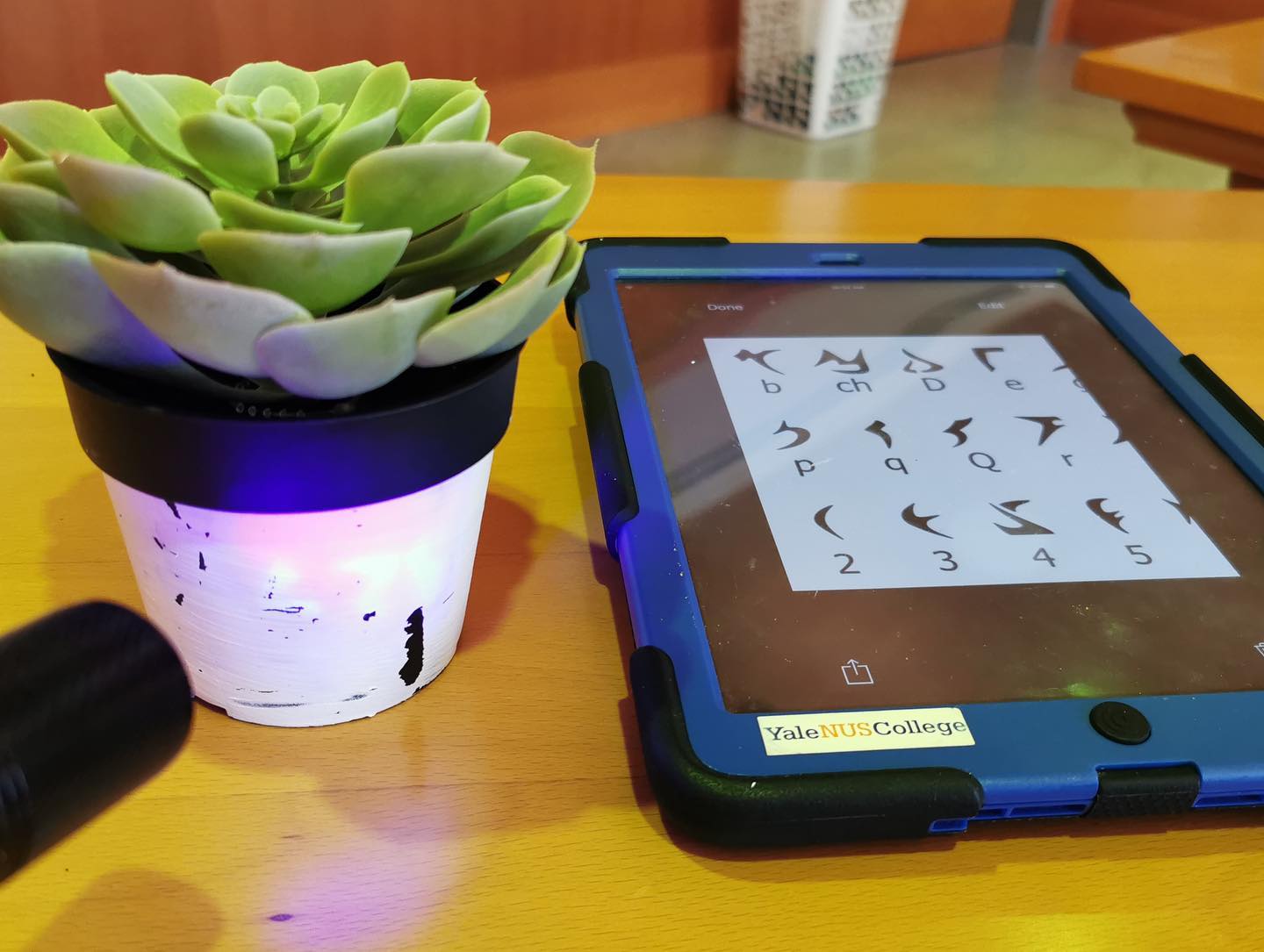 Photograph of a potted cactus and a tablet computer with alien symbols displayed lying on a wooden table.